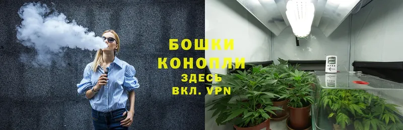 Бошки Шишки LSD WEED  магазин  наркотиков  Иваново 